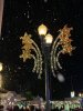 5D876026-1589-4C50-97DA-D5F30242D15D.jpeg