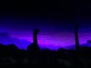09D40E73-AE94-4AD2-BCF6-A80AD8974769.jpeg