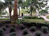 IMG_20191129_173622.jpg