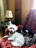 IMG_Dec102019at73717AM.jpg