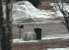 giphy (1).gif