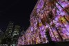 0823 White Night_-158.jpg