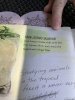 IMG_0516.JPEG