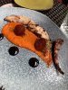 IMG_0520.JPEG