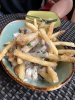 IMG_0521.JPEG