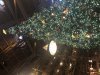 7B59602B-8397-4D26-A3CD-6FEDD8455249.jpeg