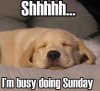 733322BA-538A-4975-8372-CED83823F329.jpeg