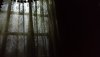 MK haunted m window.jpg