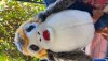 3101A2BB-8570-433E-9F3C-73902C0F52CF.jpeg