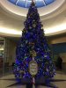 IMG_5521.JPG