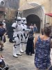 IMG_6500.jpg IMG_6500.jpg