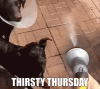9436F13C-9A43-4319-A46C-D43BF21A10F0.gif
