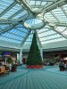 IMG_20191214_151759.jpg