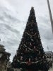 IMG_5525.JPG