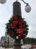 IMG_5526.JPG