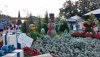 Epcot xmas 2019 topiarys.jpg