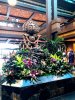 IMG_Jan12020at91517AM.jpg