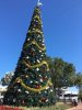 IMG_5546.JPG