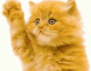 B18F8C56-2950-40A5-87D5-BB2D07ACF7D1.gif