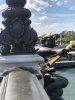 IMG_5001.jpeg