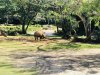 055D1000-3CF9-4273-ABE0-A9A0CFCD9783.jpeg