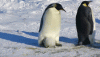 BCCEFCC7-7F23-4D40-98F2-AF7977977E0D.gif