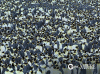 2346B78A-EFB8-4392-A30D-3F9F6586657F.gif