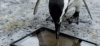 3FA5B923-26B9-45A4-92B8-86D651CFF362.gif