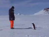75AFEE78-B2EA-4228-9505-AC1DD8BD431A.gif