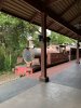 Train - Copy.jpg