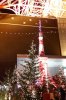 smTokyoTowerIllumination.jpg