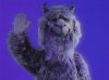 88AE7B3E-0550-4645-906C-54FF7F8D1BF8.jpeg