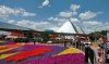 Epcot FG imag 2019 .jpg