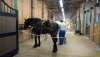 FW horse barn APR.jpg
