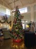 IMG_5562.JPG