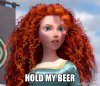 hold-my-beer-624ba2a095.jpg