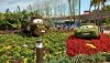 Epcot FG cars 2019 .jpg