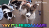 C3952007-CD35-4207-B78F-DC64196BA569.gif