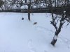 56DBE46A-FE8C-4625-8F08-1D8E196E54B4.jpeg