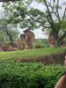 IMG_6763.jpg