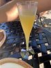 IMG_0581.JPEG