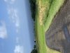 D47CE9C8-293B-410A-9CDF-EEFEA7AFA09C.jpeg