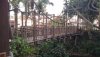 swiss tree house bridge.jpg