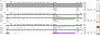 Screen Shot 2020-01-23 at 8.33.33 AM.png