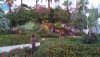 IMG_20170430_185108_521.jpg