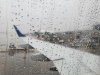 disboards plane2.jpg