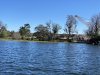 IMG_9594.jpg
