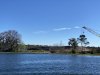 IMG_9595.jpg