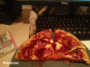 sneaky-animals-stealing-things-22.gif