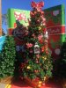 IMG_5587.JPG
